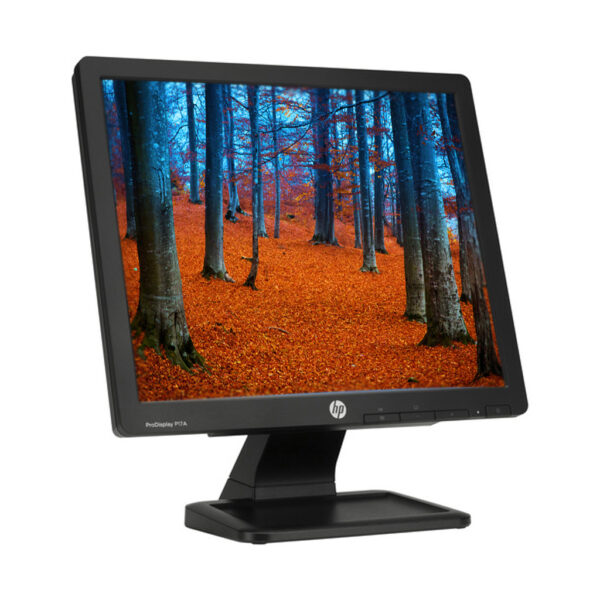 MONITOR HP 17" P17A PRODISPLAY - Imagen 2