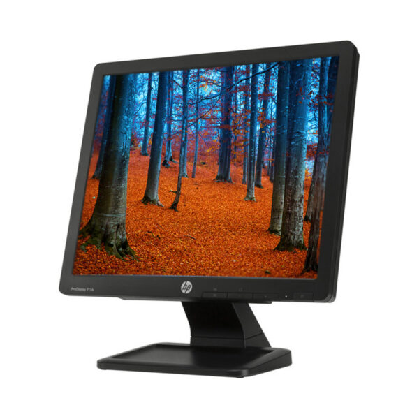 MONITOR HP 17" P17A PRODISPLAY - Imagen 3